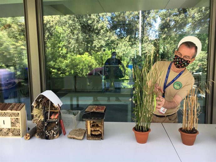 Taller de insectos en el Parque de las Ciencias