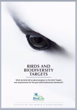 BirdLife International publica el informe 'El estado de las aves del mundo'