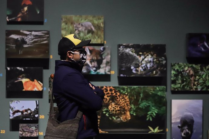 Una persona atiende a una exposición de fotografía en una de las salas del Museo Nacional de Colombia, situado en la ciudad de Bogotá.