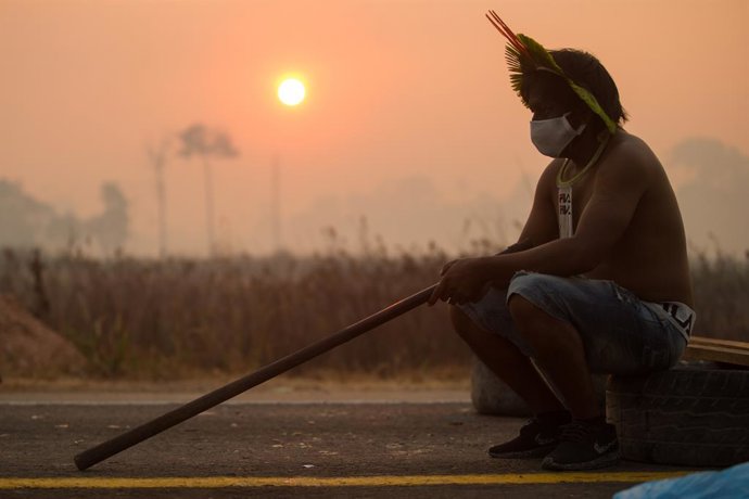 Brasil.- Denuncian que la violencia contra los pueblos indígenas ha aumentado en