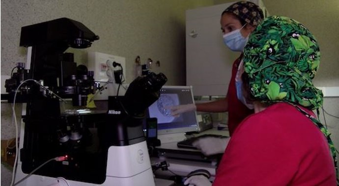 Instituto de Reproducción Asistida de Extremadura