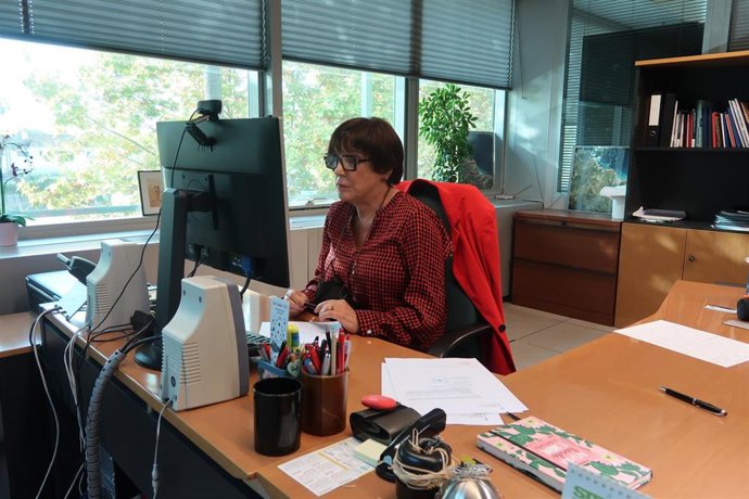 La directora general de Personal Docente del Govern, Rafaela Sánchez Benítez, en la Mesa Sectorial de Educación.