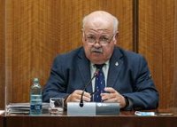 Salud reconoce "problemas grandes" en primaria y PSOE exige medidas en vez de "camorrismo político siguiendo a Madrid"