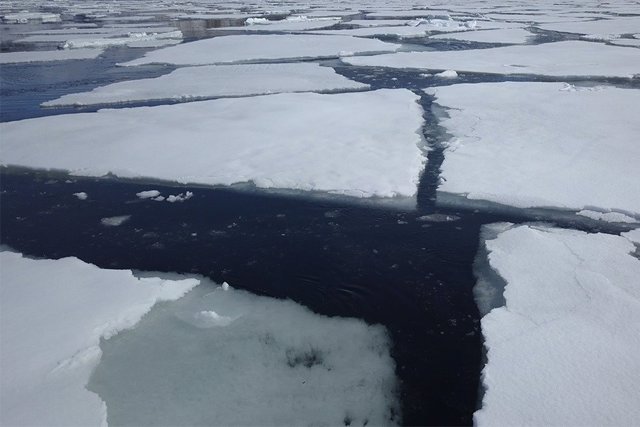 Placas de hielo marino