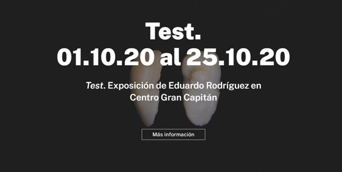 Captura de pantalla de la web de Facba sobre la exposición 'Test'