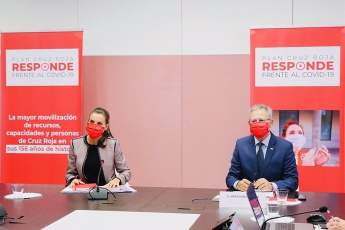 La Reina Letizia se reúne con Cruz Roja para conocer su programa de atención a p
