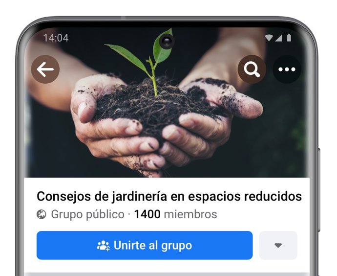 Grupos públicos