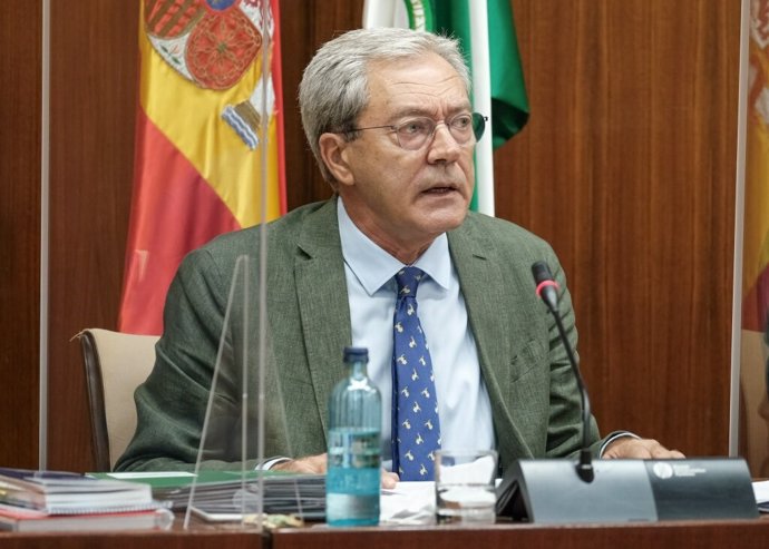 El consejero de Transformación Económica, Rogelio Velasco, este jueves durante su comparencia parlamentaria en comisión.
