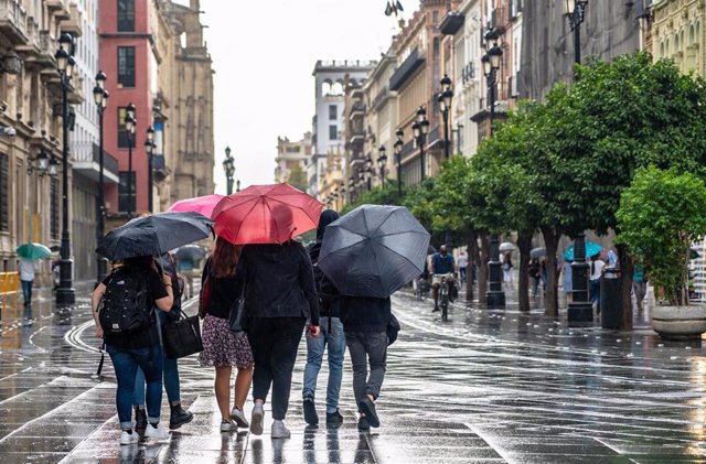 Un grupo de turistas con paraguas por la Av de la Constitución. Sevilla a 18 de septiembre 2020