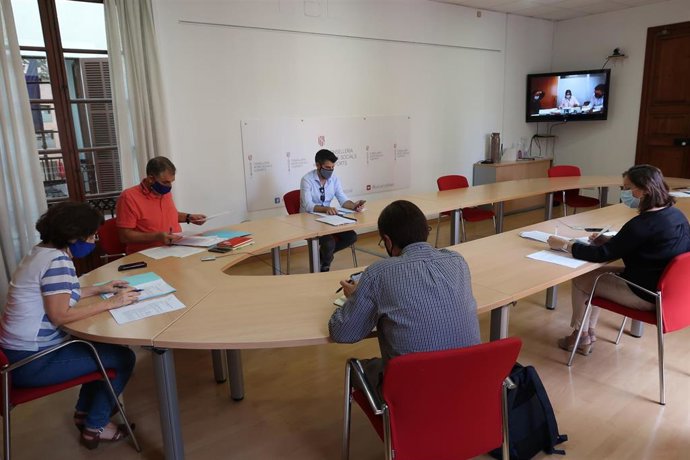 La consellera de Asuntos Sociales y Deportes, Fina Santiago, en la reunión telemática.