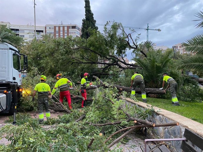 Destrozos causador por el viento