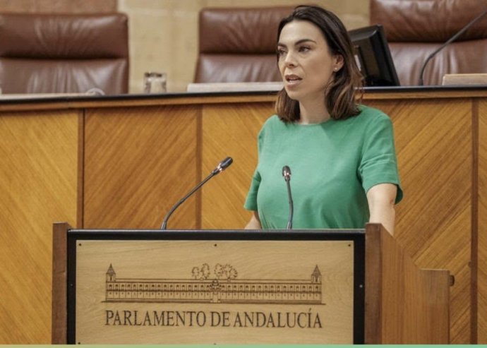 La diputada de Ciudadanos (Cs) en el Parlamento de Andalucía y portavoz en la Comisión de Igualdad, Políticas Sociales y Conciliación de la Cámara andaluza, Teresa Pardo.