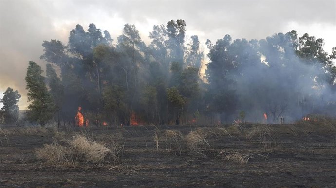 Incendio de Sanlúcar