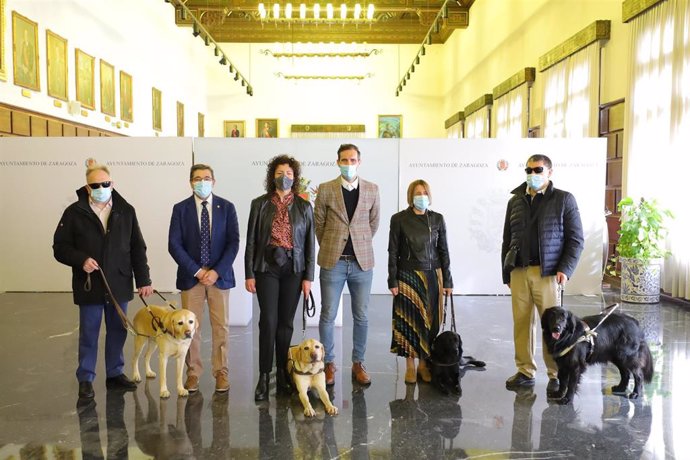 El Ayuntamiento de Zaragoza financiará el registro de ADN de todos los perros guía de la ciudad.