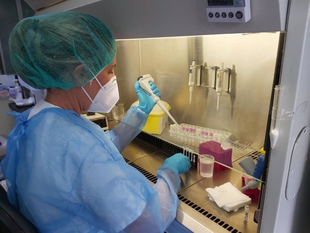 Una profesional del servicio de Microbiología del HUC procesa una prueba PCR
