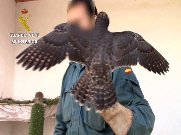 Vídeo de la noticia