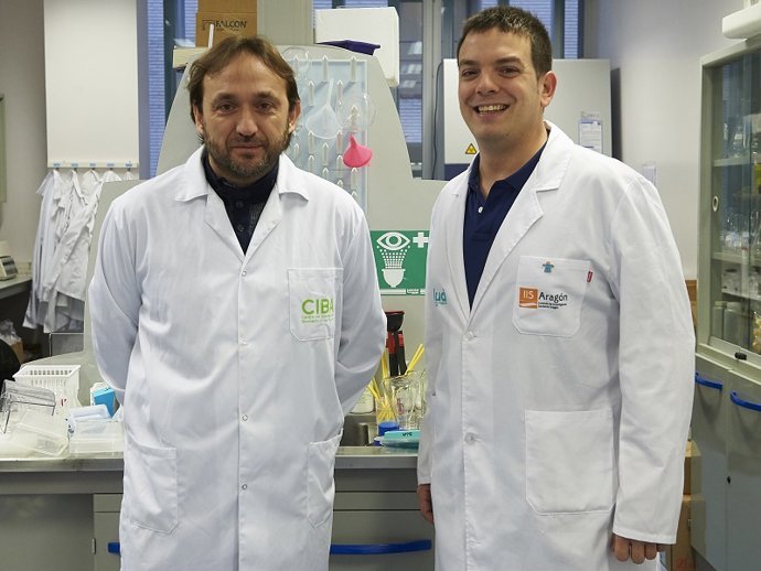 Aspanoa convoca 75.000 euros en ayudas para la investigación del cáncer infantil.
