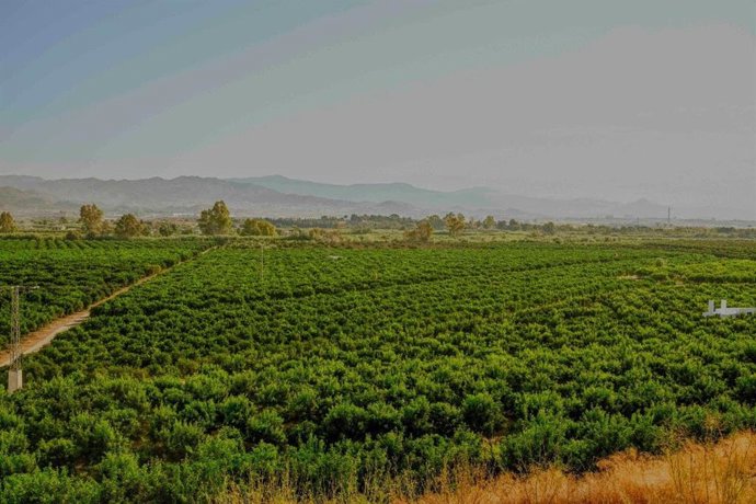 Terrenos depuradora Málaga