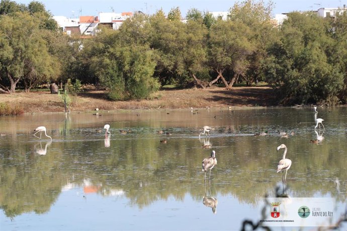 Laguna de Fuente del Rey