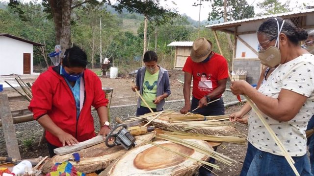 Proyecto Bambú Bambal en Ecuador.