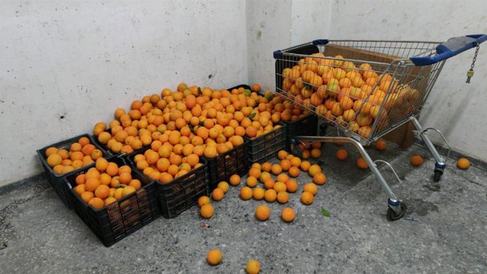 Huelva.- Sucesos.- Incautados 135 kilos de frutas y verduras y 29 kilos de pesca