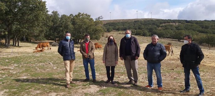 Vox se opone a una instalación fotovoltaica en Las Navas del Marqués (Ávila)