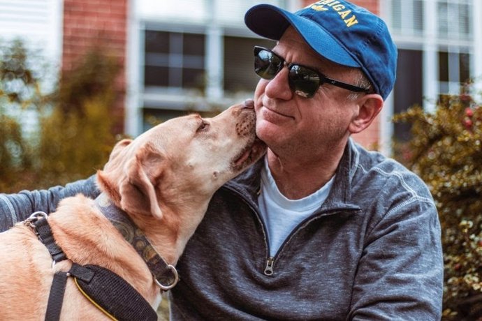 A diferencia de los cerebros humanos, los de los perros no contienen áreas sensi