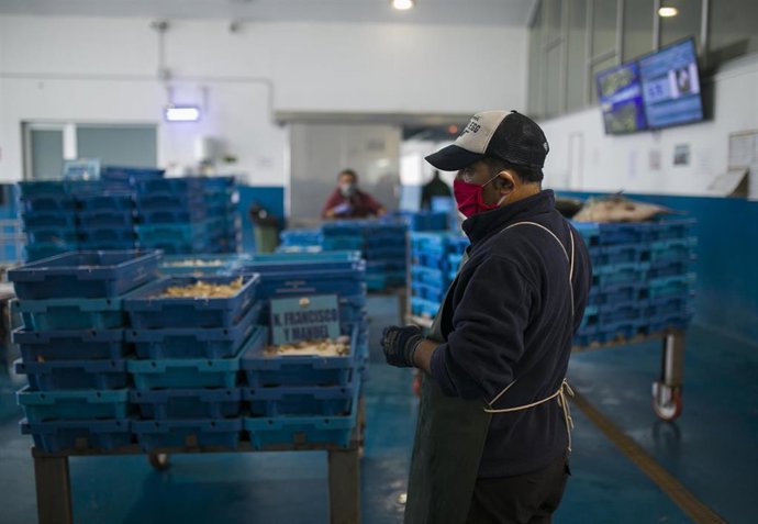 Pescadores protegidos con mascarillas y guantes en la lonja pesquera de la Cofradía de Pescadores de Sanlúcar de Barrameda