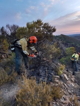 Imágenes tomadas y cedidas por la Unidad de Defensa contra los Incendios Forestales de la Dirección General del Medio Natural.