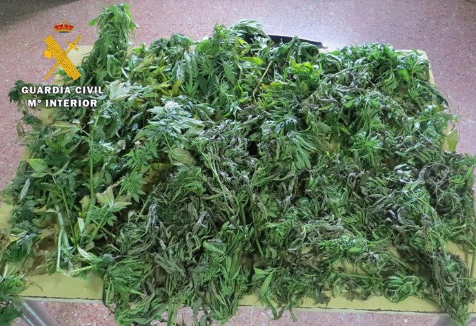 Nota De Prensa. Guardia Civil Burgos