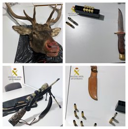 Imagen de las armas y de la cabeza de venado intervenida