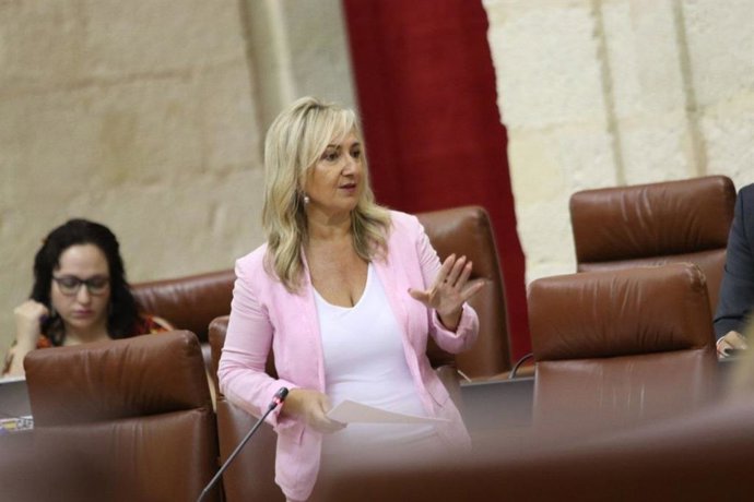 Ana Llopis, parlamentaria de Cs por Sevilla