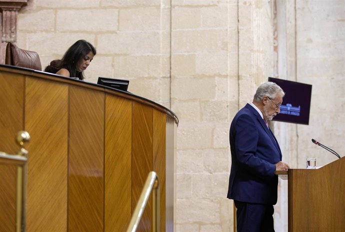 El defensor del Pueblo Andaluz, Jesús Maeztu, en una foto de archivo en el Pleno del Parlamento de Andalucía.