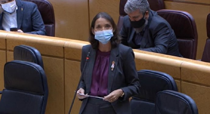 La ministra de Industria, Comercio y Turismo, Reyes Maroto, durante su intervención en el Senado este martes 6 de octubre de 2020.