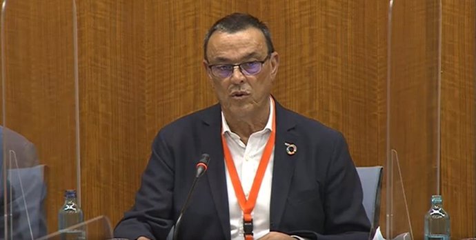 El presidente de la Diputación de Huelva, Ignacio Caraballo, interviene en el Parlamento.