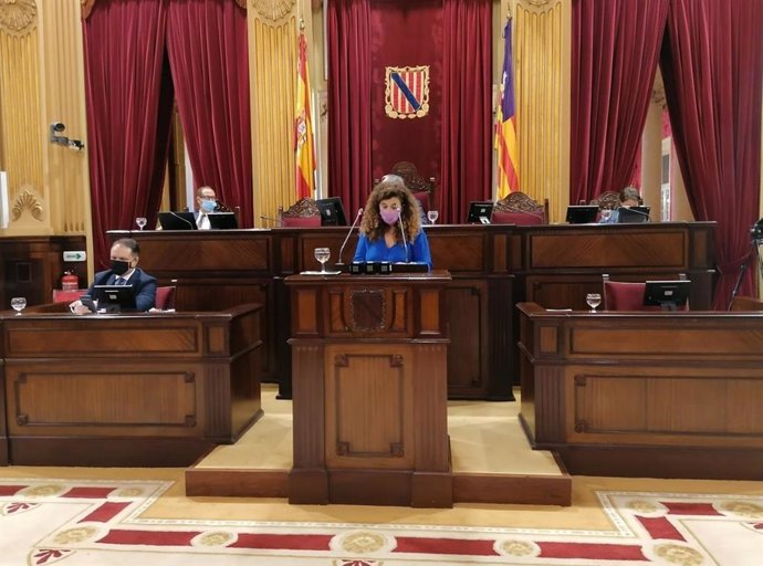 La consellera de Presidencia, Cultura e Igualda, Pilar Costa, en comparecencia en el pleno del Parlament.