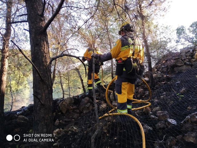 Efectivos actuando contra el fuego.