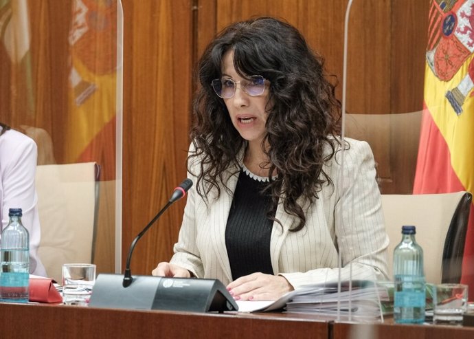 La consejera de Igualdad, Rocío Ruiz, este martes durante su comparencia parlamentaria en comisión.