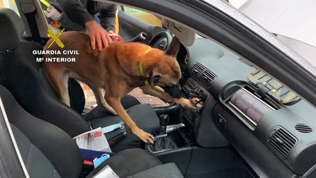 [Cáceres] Remitiendo Nota De Prensa Operacion Limatus, Contra El Tráfico De Drogas En Logrosán