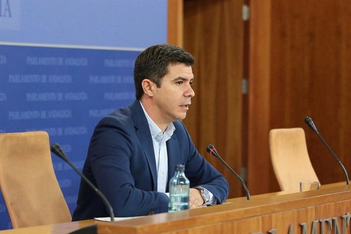 El portavoz parlamentario de Ciudadanos (Cs), Sergio Romero, en rueda de prensa