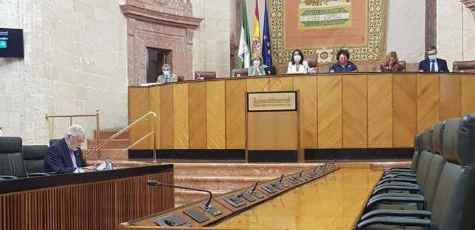 El Defensor del Pueblo andaluz cifra en más de 5.000 las actuaciones por el Covid-19