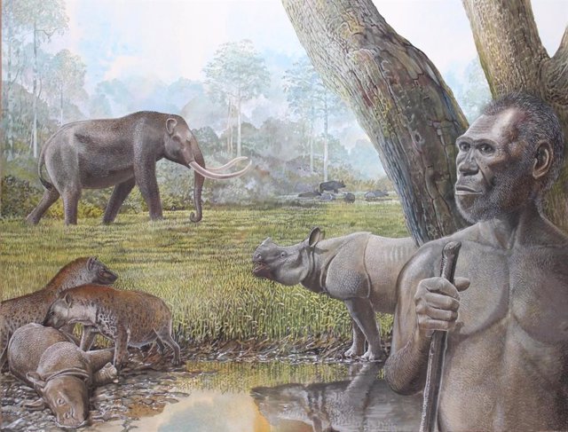 Reconstrucción artística de una sabana en el sudeste asiático del Pleistoceno medio. En primer plano, se representan Homo erectus, stegodon, hienas y rinocerontes asiáticos. El búfalo de agua se puede ver en el borde de un bosque ribereño en el fondo