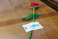 La región registra 4.733 fallecidos por todas las causas en la segunda ola de Covid, un 34% más de lo normal