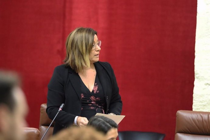 La diputada de Ciudadanos (Cs) por Sevilla en el Parlamento de Andalucía Mar Hormigo durante una intervención en el Parlamento