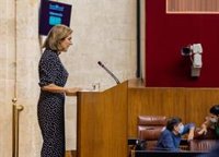 El Parlamento convalida el decreto de ayudas al alquiler para autónomos y para el ocio nocturno e infantil