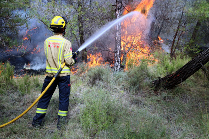 Pla general de la crema en un bosc de pinassa del Solsons. Imatge publicada el 8 d'octubre del 2020. (Horitzontal)