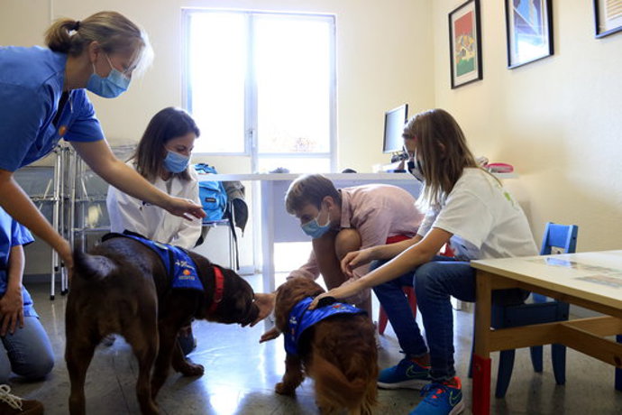 Un nen i una nena participen en una sessió d'una terpia assistida amb gossos a Vall d'Hebron, dirigida per la psicloga i les tcniques. 30 de setembre del 2020. (Horitzontal)