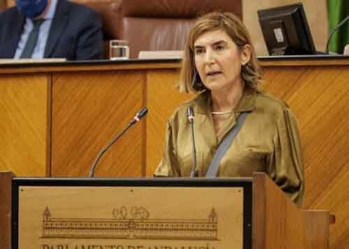 La consejera de Empleo, Rocío Blanco, este jueves en la tribuna de oradores del Parlamento de Andalucía.