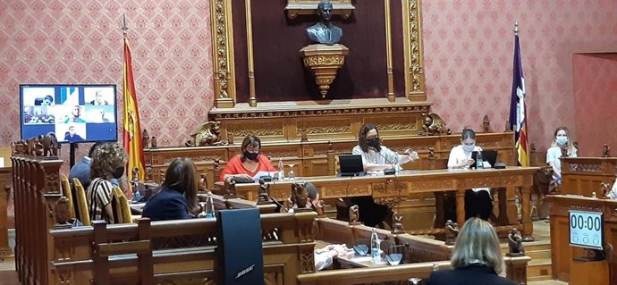 Pleno del Consell de Mallorca.