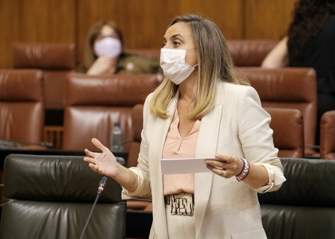 La consejera de Fomento, Infraestructuras y Ordenación del Territorio, Marifrán Carazo, en el Pleno del Parlamento